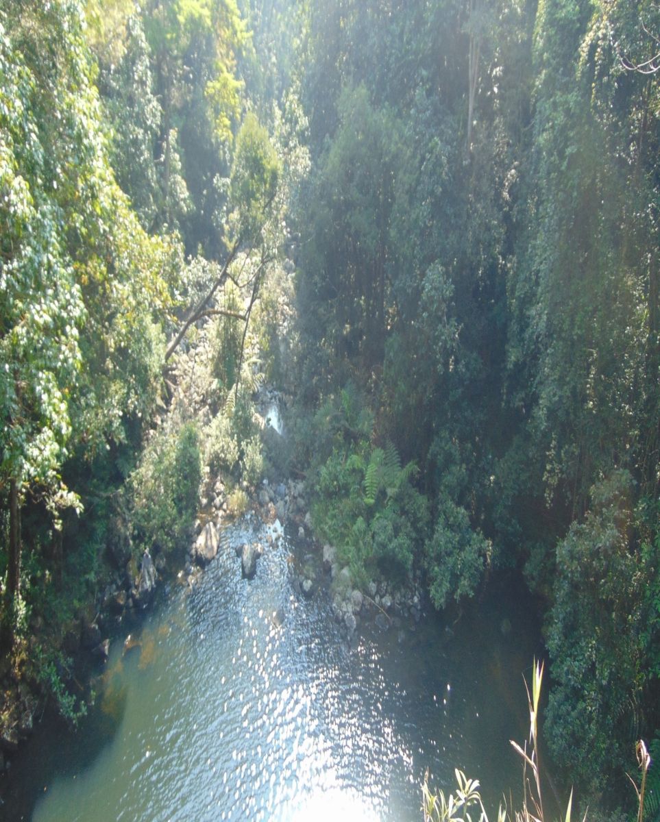 image004(1)